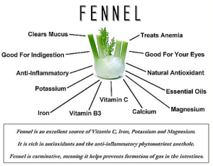 Fennel