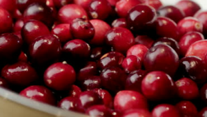 Cranberry Date Smoothie