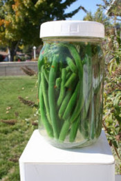 cultured green beans