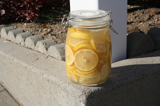 Cultured Lemons