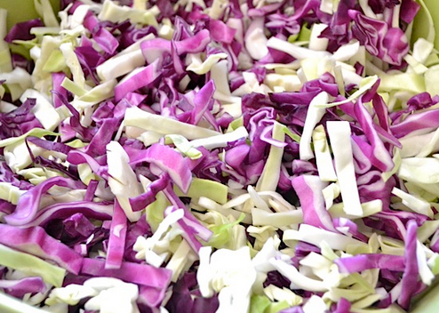 cultured cabbage