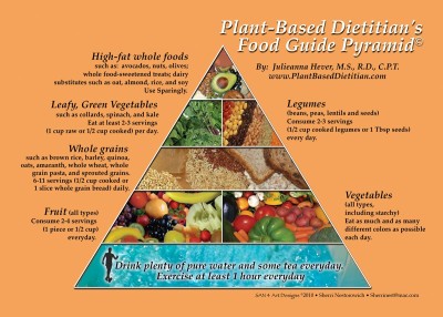 plant based raw food recipes